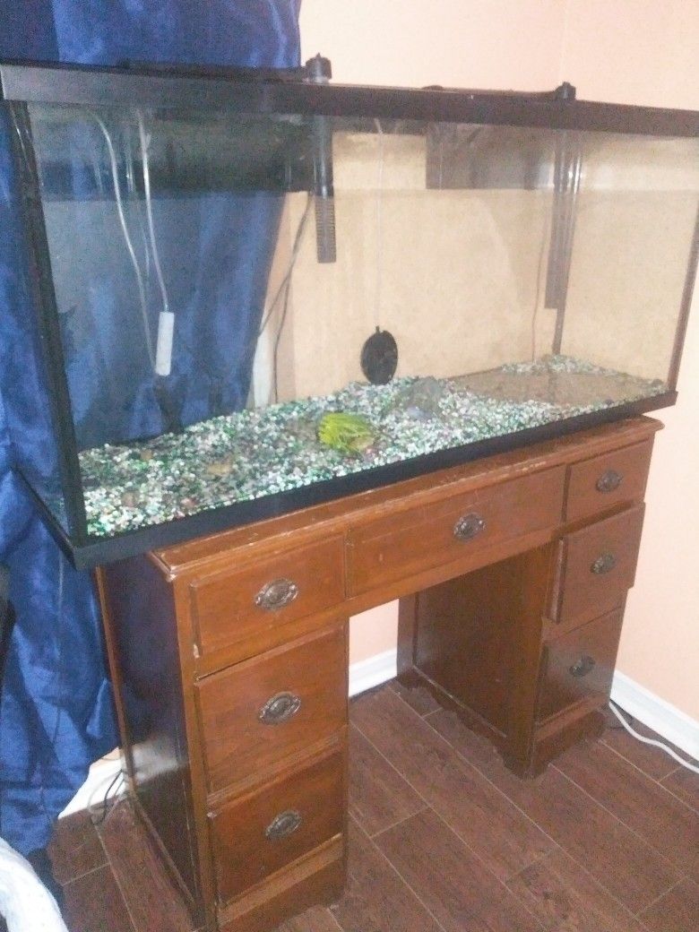 55 Gallon Fish Tank All Else Included