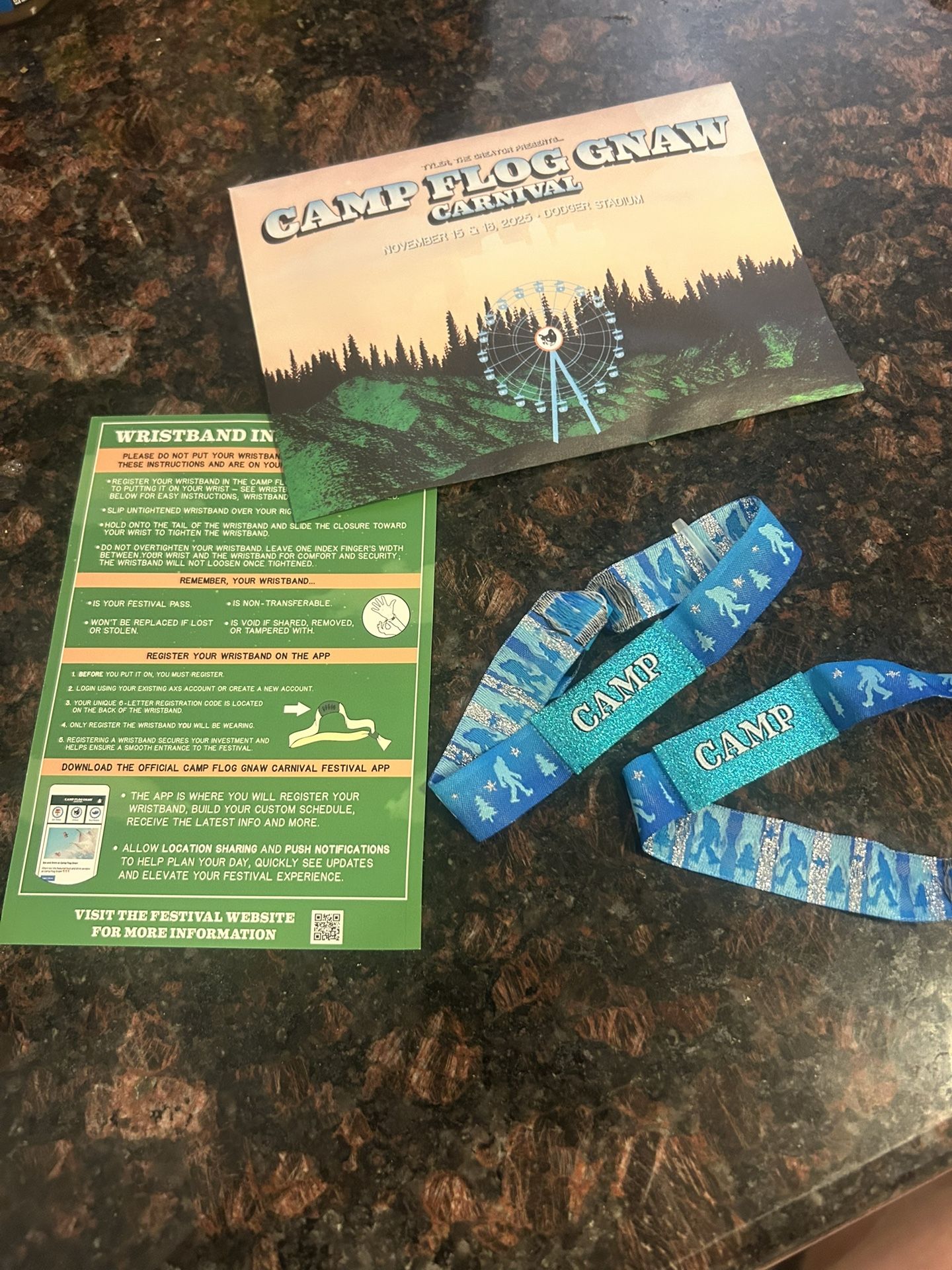 $800 for 2 Camp Flog Gnaw Tickets