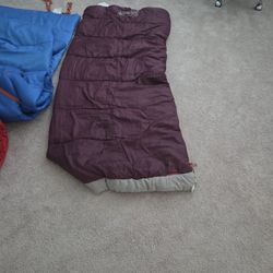 Coleman Autumn Glen Adult Sleeping Bag