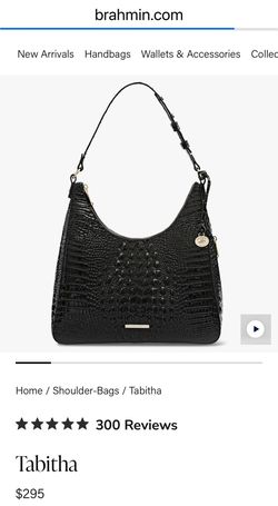 Brahmin (Tabitha model)