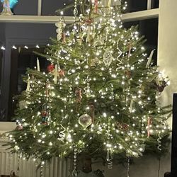 Christmas Tree Candle Holders - Eight (8)