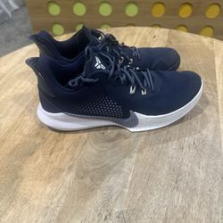 Kobe Bryant Mamba Fury