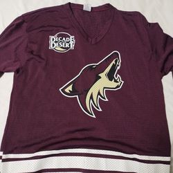 Coyotes Decade In The Desert Promo Jersey
