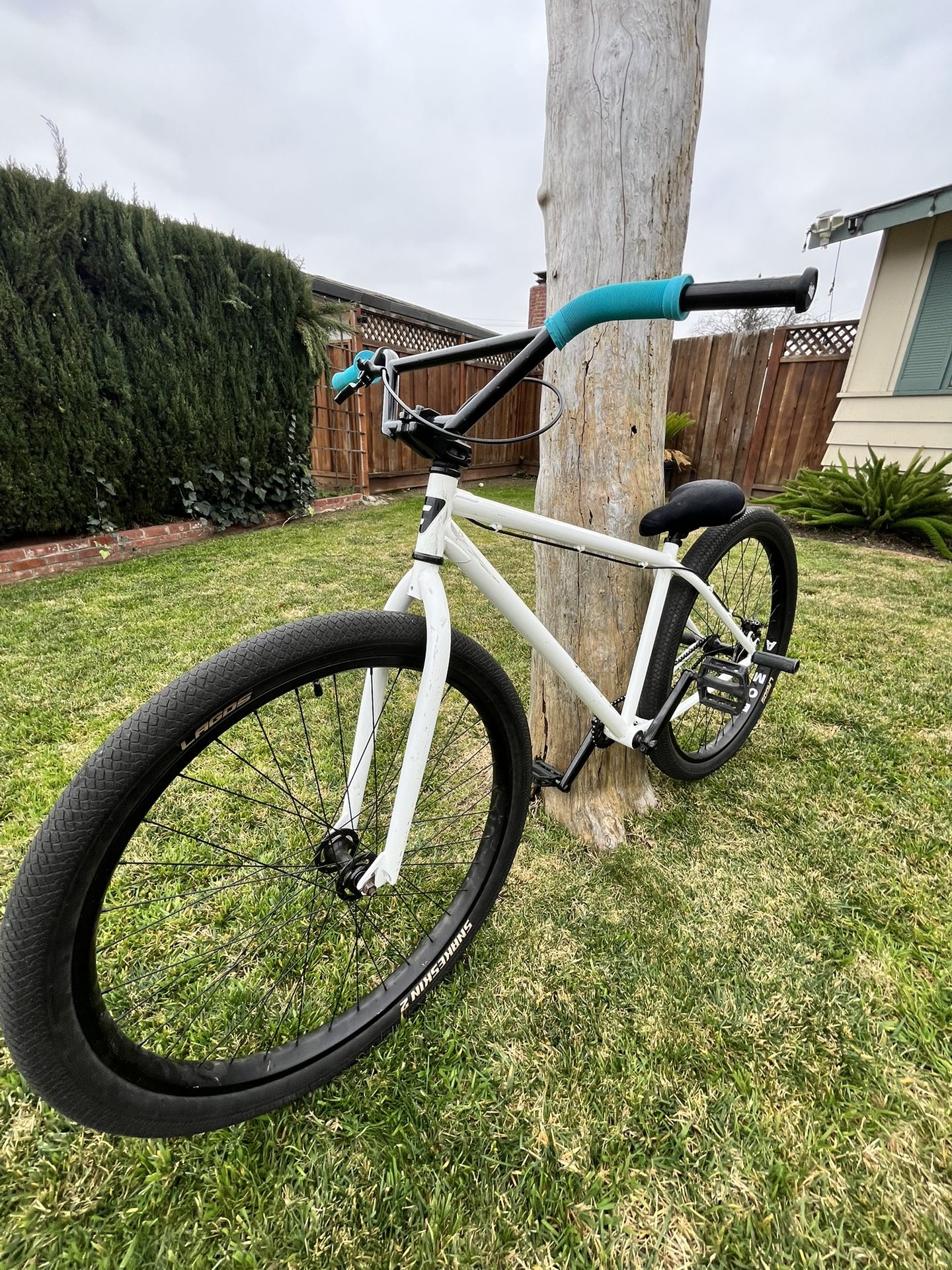 White Bomma 29 inch (Trades and Offers)