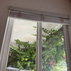 Windows 50 Inch By 50 Inch 