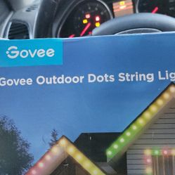 Govee Dot Lights 100ft 