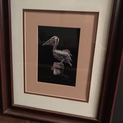 Mahra Framed Print -Brown Pelican 