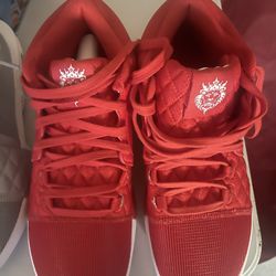 Lebron James Witness 8 