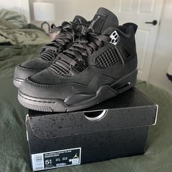 Air Jordan 4s