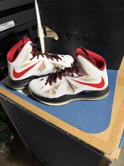 LEBRON X
