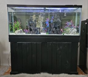 55 Gallon Fish Tank Bundle
