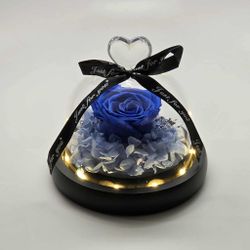 NEW Real Preserved Rose Everlasting Forever Eternal Flowers W/ LED Light