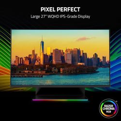 Razer Raptor 27” Gaming Monitor 