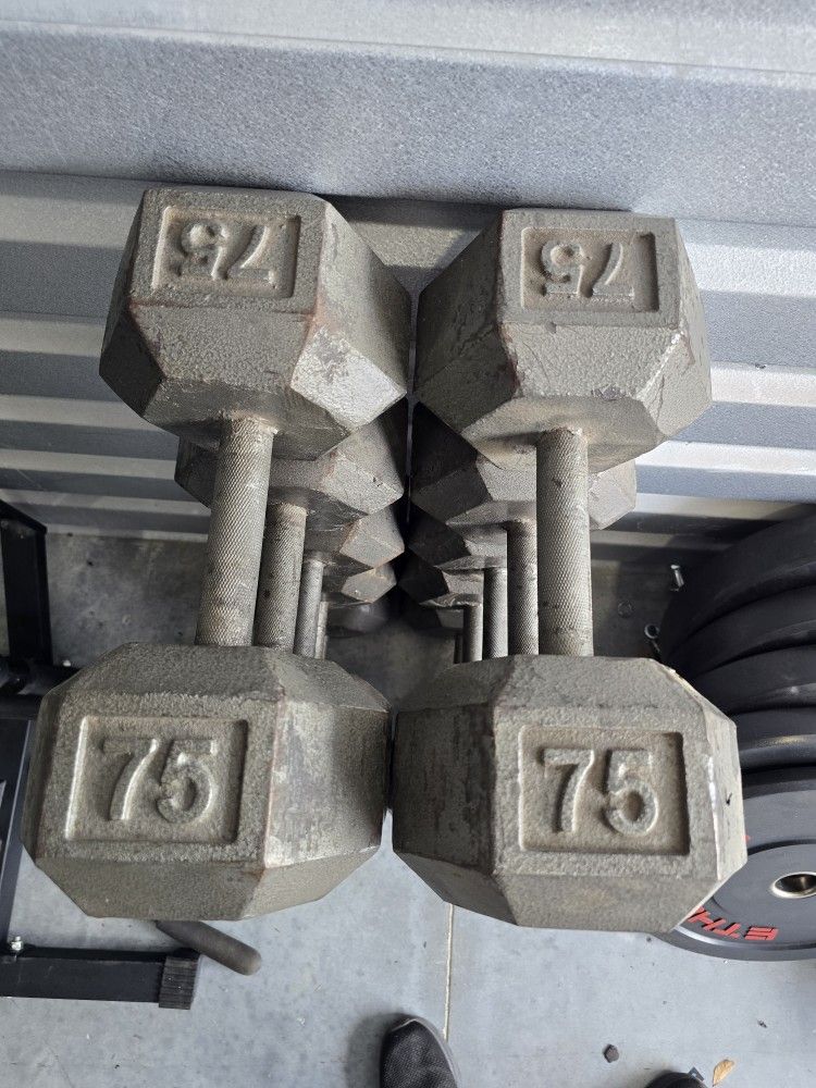 Weight Dumbbells