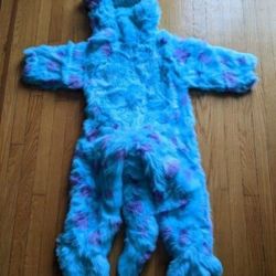 Monster Inc Costume 