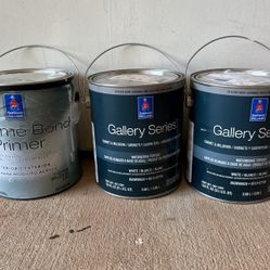 Cabinets Paint