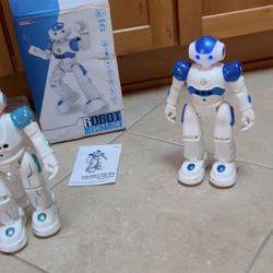 Robots 2 of them Cady Wike Robot & Robot Mechanics