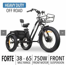Gobike Forte Tricycle new