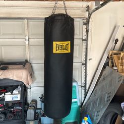 Everlast Boxing Bag