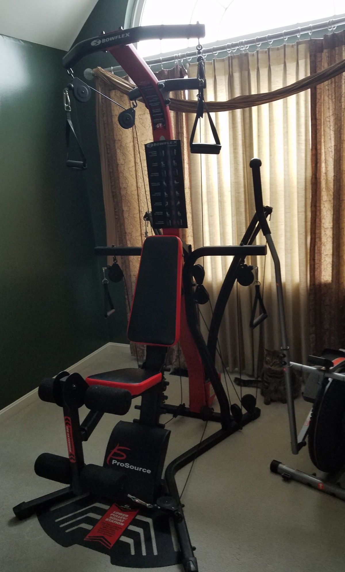 Bowflex PR300 home gym