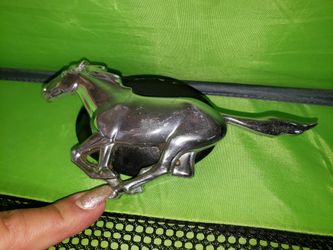 Belt buckle mustang