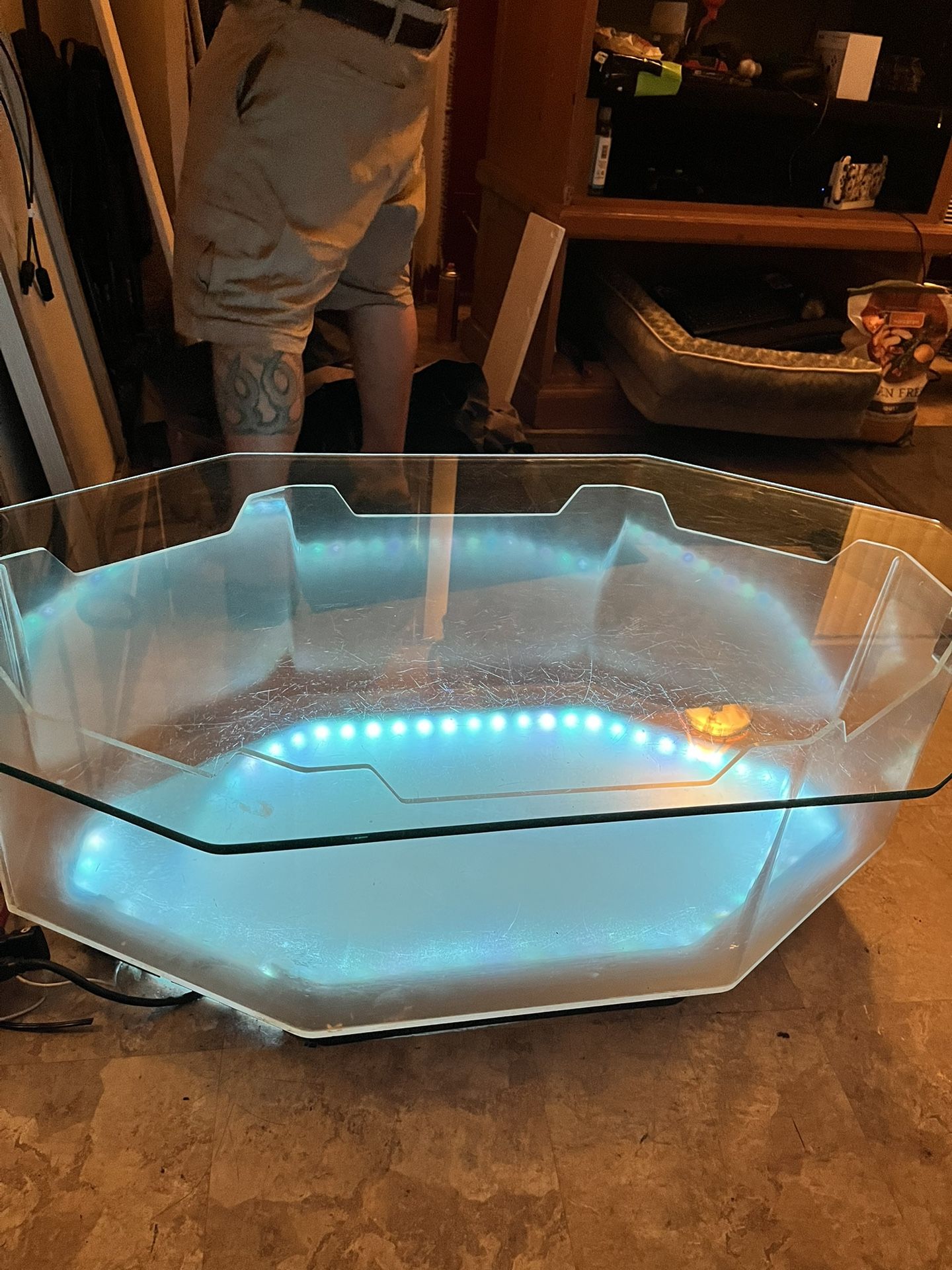 Fish tank coffee table terrarium