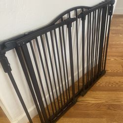Dog Fence 