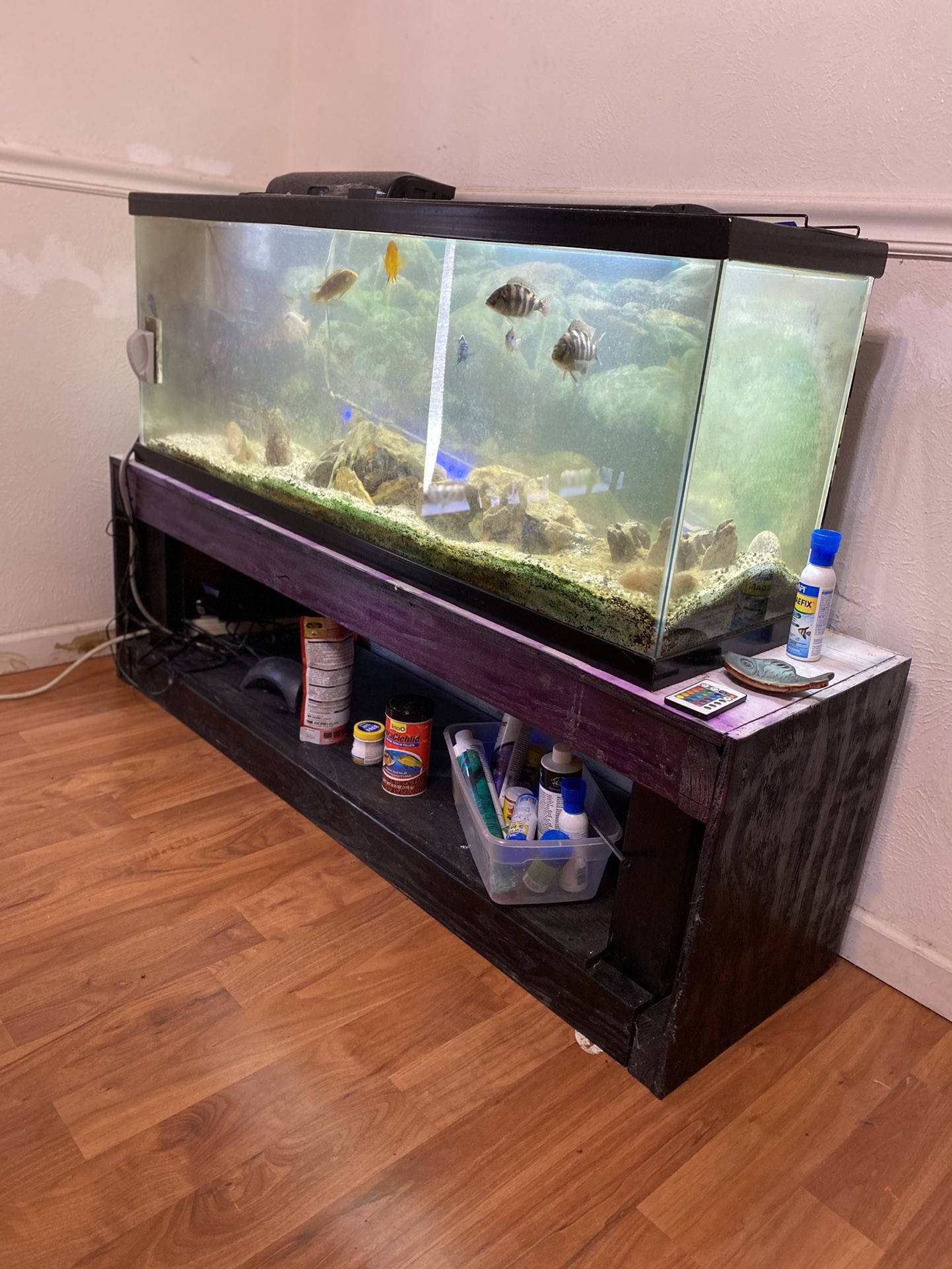 50 Gallon aquarium/fish tank NFI