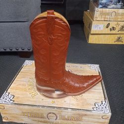 Brand New Mexican Boots