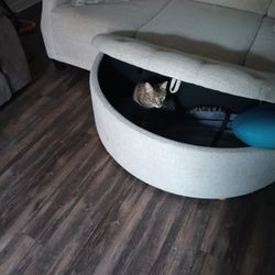 Sofa, Footstool 