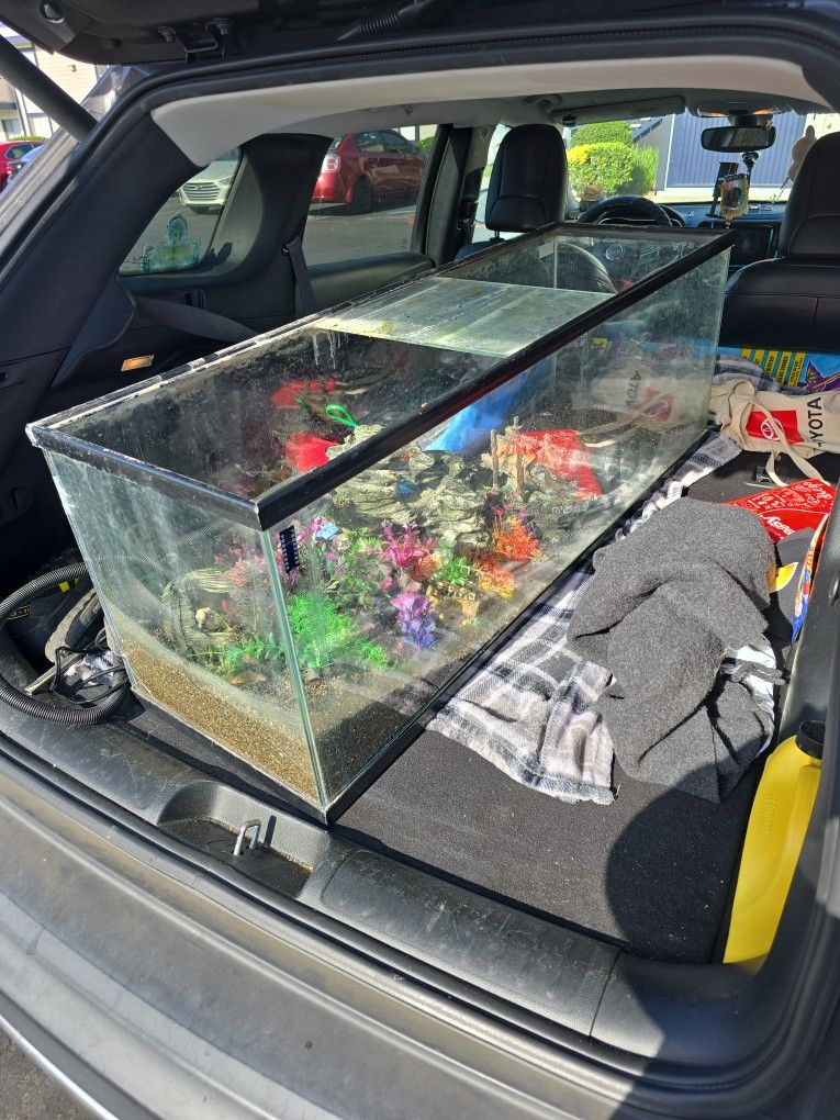 Fish Tank