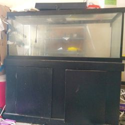 2 Aquariums
