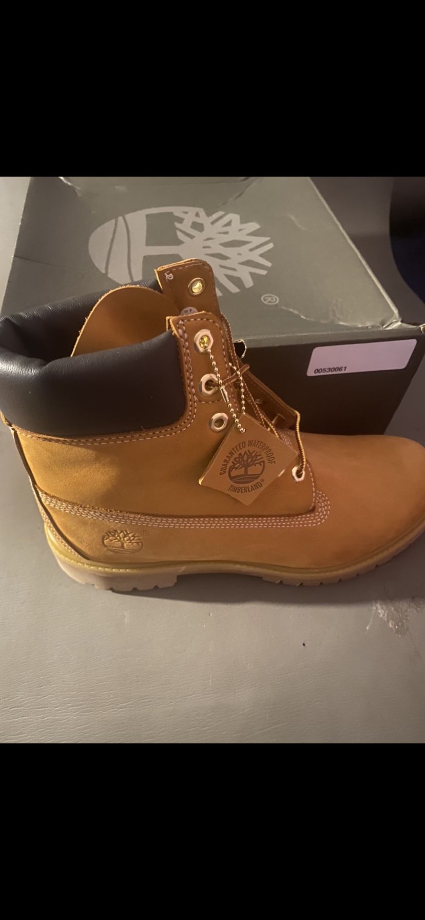 Size 9.5 Men’s Timberland Boots