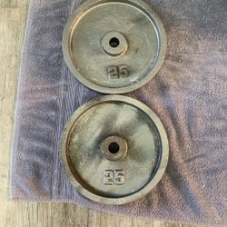 1” Standard Weight Plates 25 Lbs