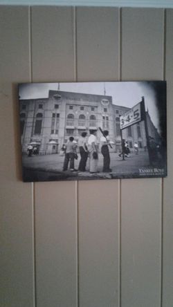 Yankees baseball picture