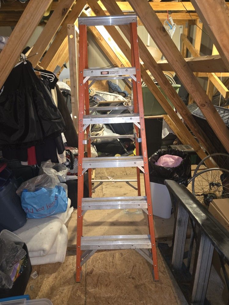 6 Ft Ladder
