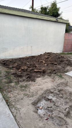FREE DIRT