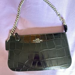 New Small Coach Purse 