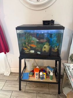 Fish tank