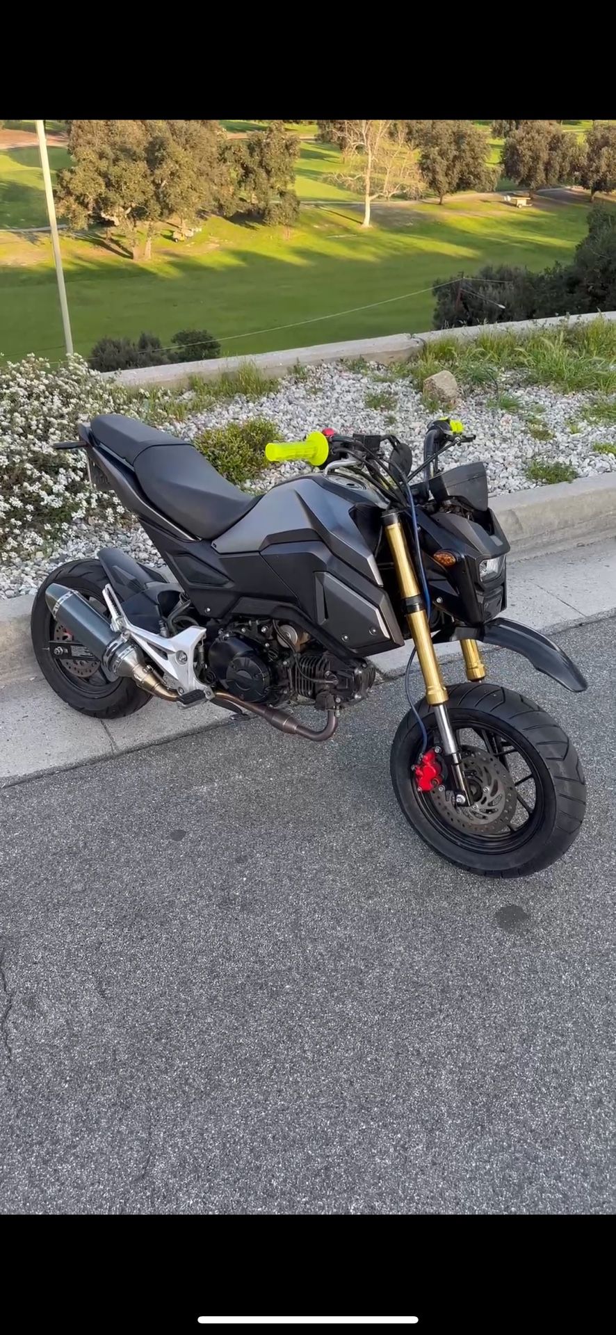 2019 Honda Grom