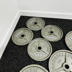 TROY HO Machined Olympic Plate - Wide Flange - Gym Equipment - Fitness