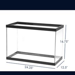 Aquarium 