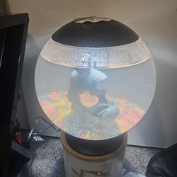 Bonita Pecera Con Ermksk Pes Betta