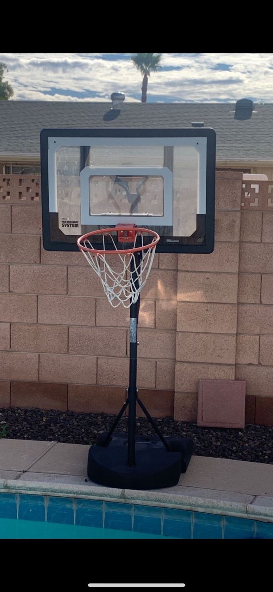 Mini Pro Basketball Hoop