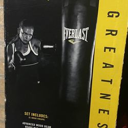 Everlast punching bag