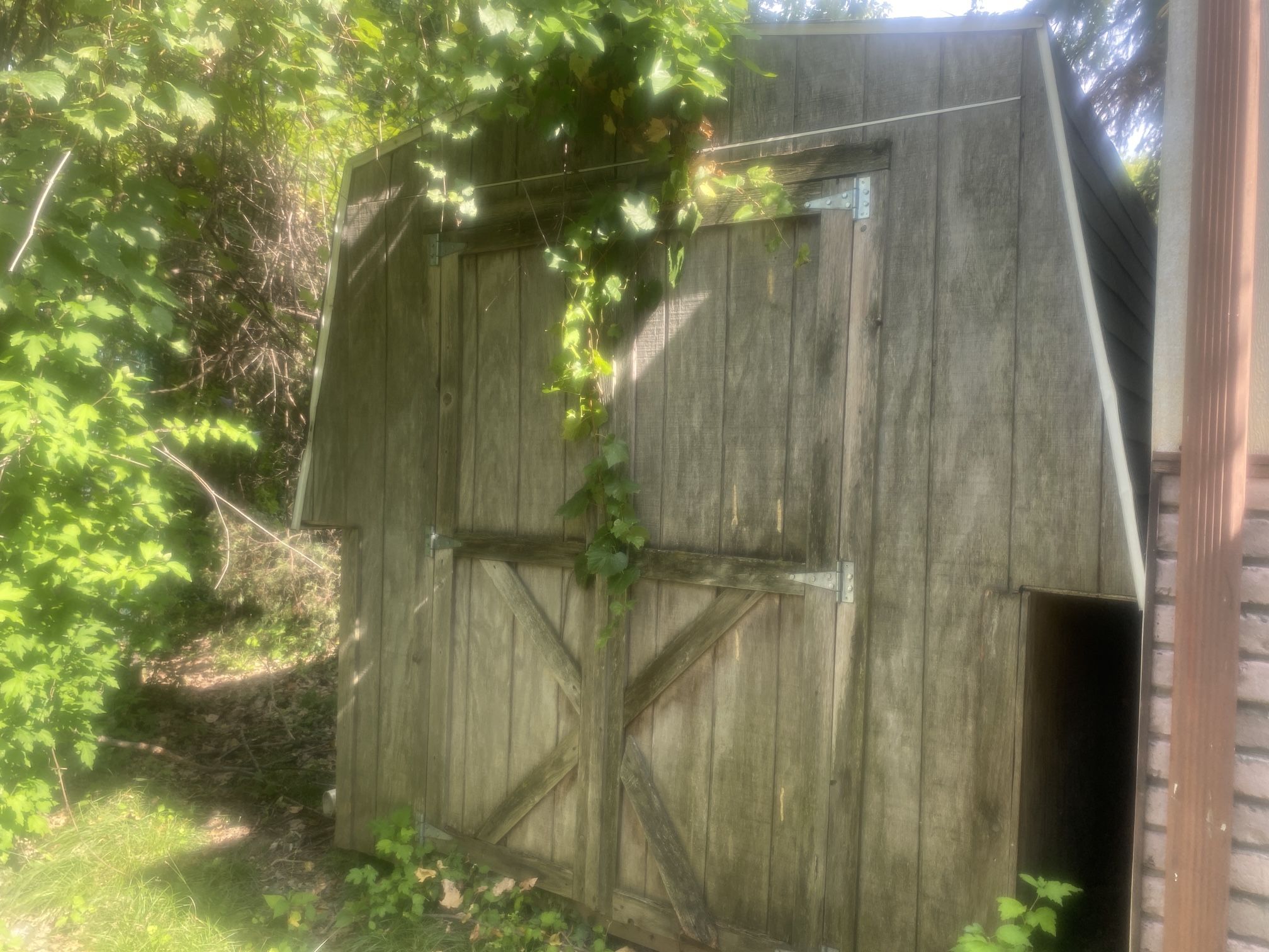 Huge Wooden Shed