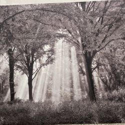 Canvas Wall Art