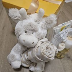 Welcome Baby Gift Box Gift Set