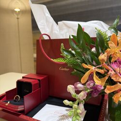 Cartier Love ring with Diamond.