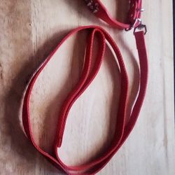 Small Dog Collar Red